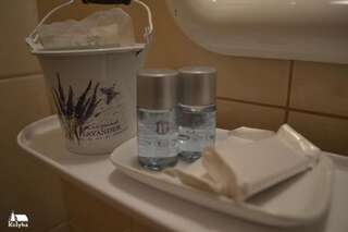 Отель Закарпатская Колыба Одесса Двухместный номер с 1 кроватью-17